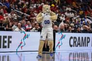 Cosmo the Cougars
